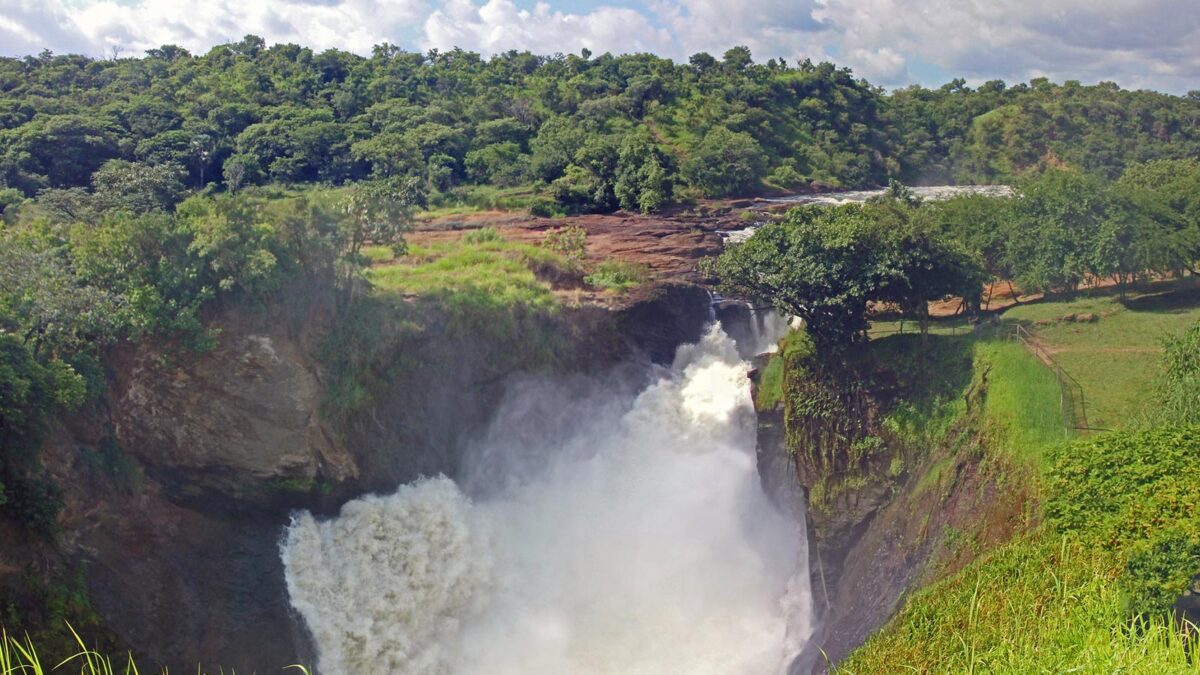 Murchison Falls Safari - Murchison Falls National Park