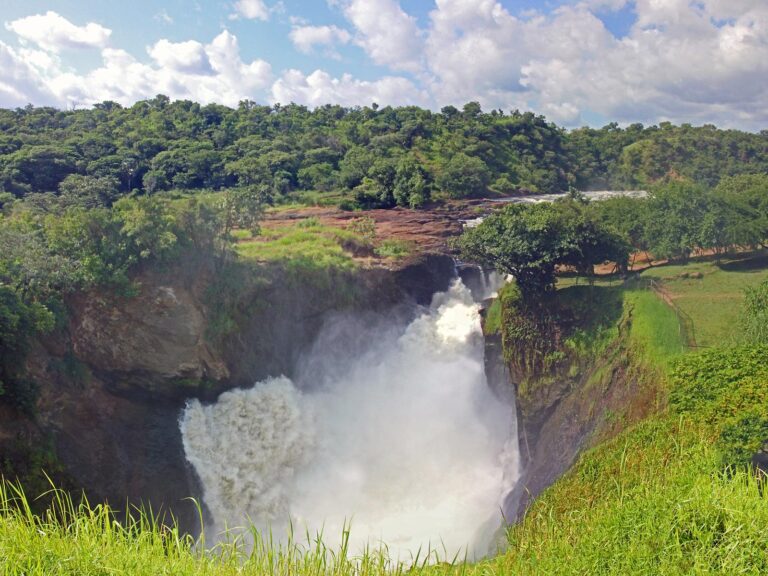 Murchison Falls  National Park