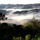 Nyungwe National Park - Hiking in Rwanda - Best Time to Visit Nyungwe forest National Park - Getting to Nyungwe Forest National Park