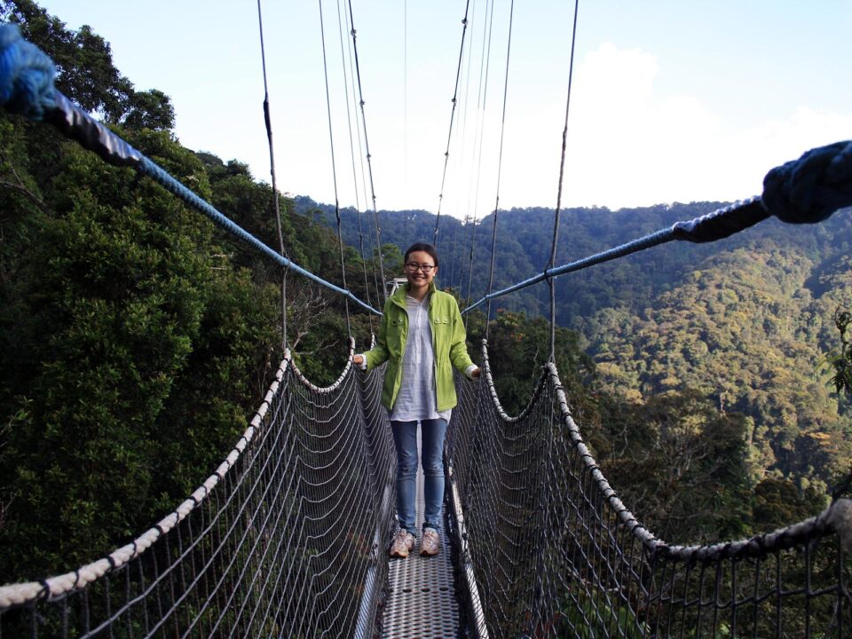 Canopy walk in Nyungwe National Park - Top Activities & Attractions in Nyungwe Forest Rwanda