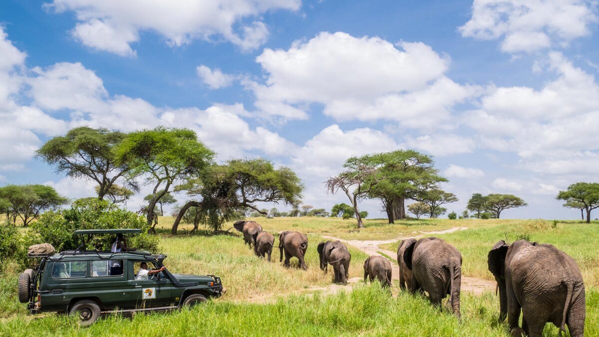 Tarangire National Park - 5-Day Tarangire & Ngorongoro Crater Safari Tanzania