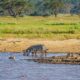 African Safaris - 7-Day Kenya Sweet Waters & Masai Mara Safari