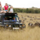 Vehicle etiquette on African Safaris