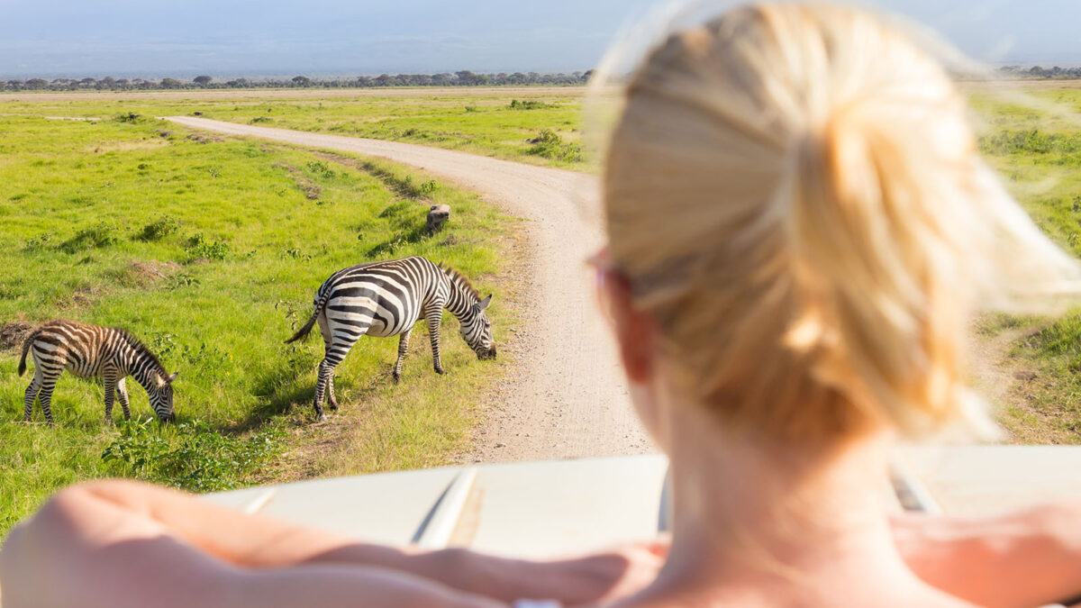 Wildlife Game Drives in East Africa - Uganda Travel Tips and Advice - Safari for Solo Travelers in Masai Mara