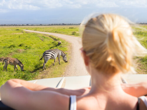Wildlife Game Drives in East Africa