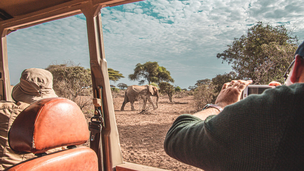 Safari Activities in Uganda