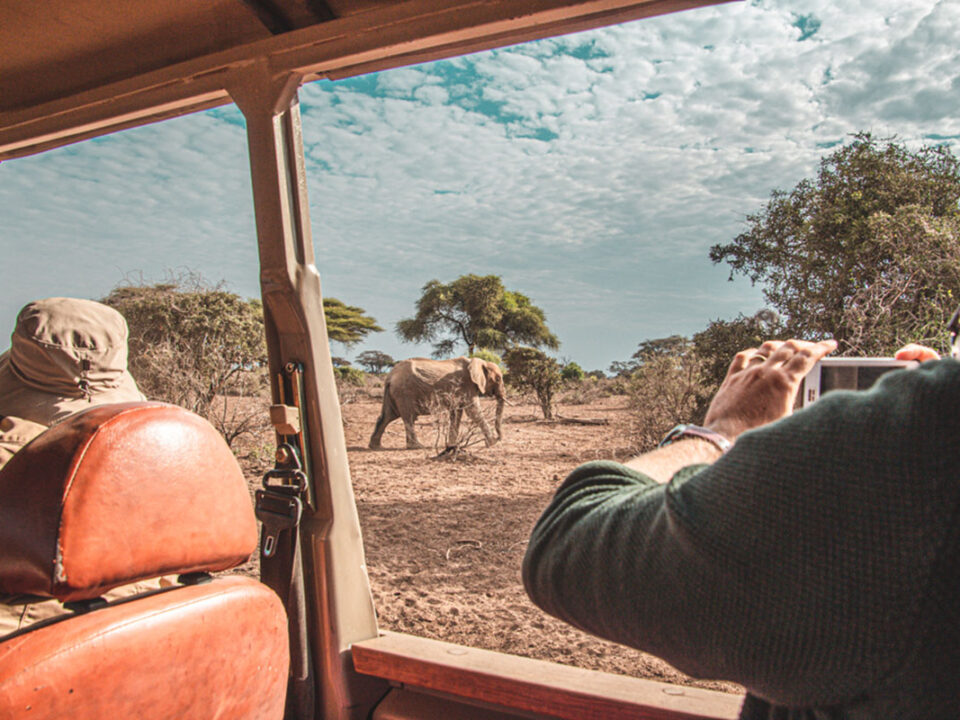 Safari Activities in Uganda