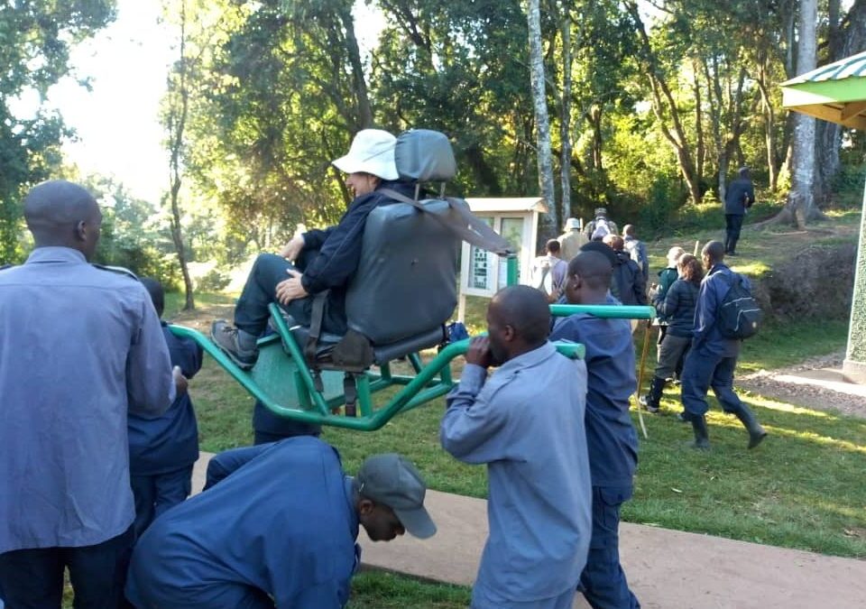 Sedan Chairs for Gorilla Trekking Rwanda
