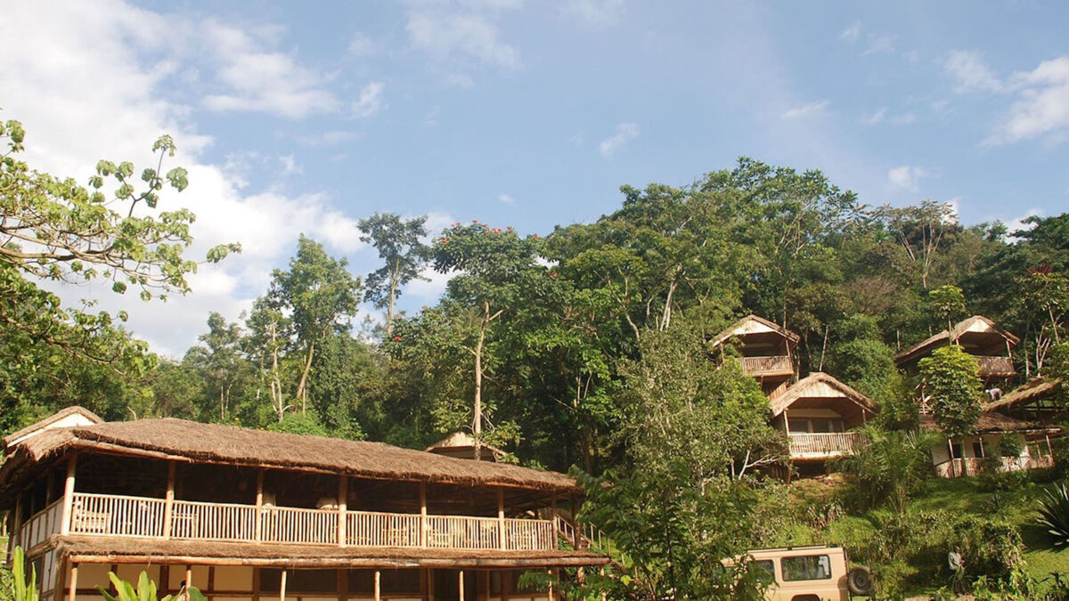 Buhoma Lodge