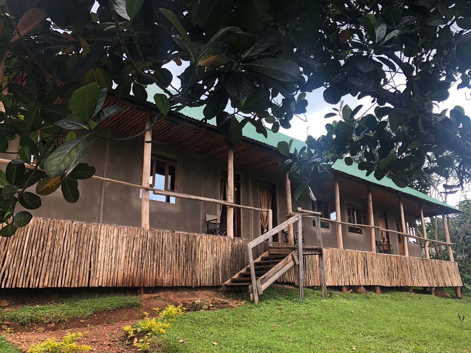Gorilla Conservation Camp Bwindi