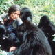 Dian Fossey in East Africa