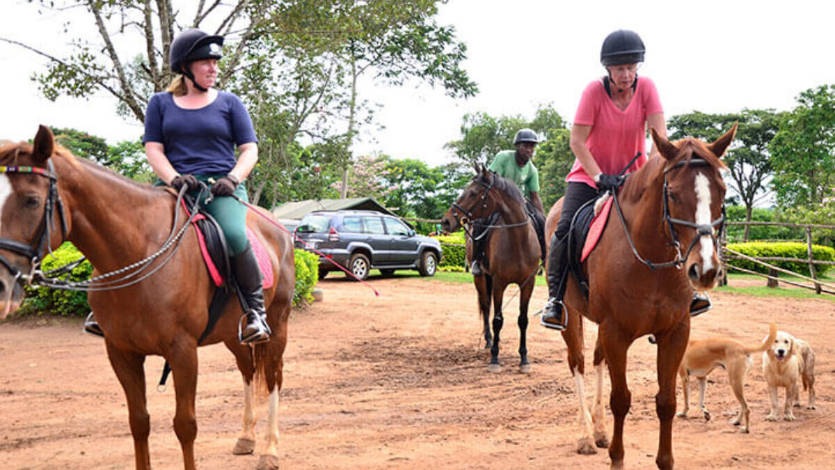 Horseback Riding in Uganda - Horseback Wildlife Safari