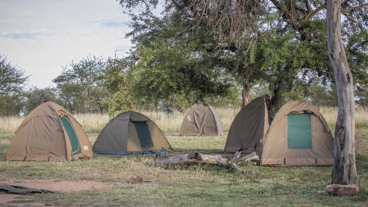 Budget Camping Safari and Tours