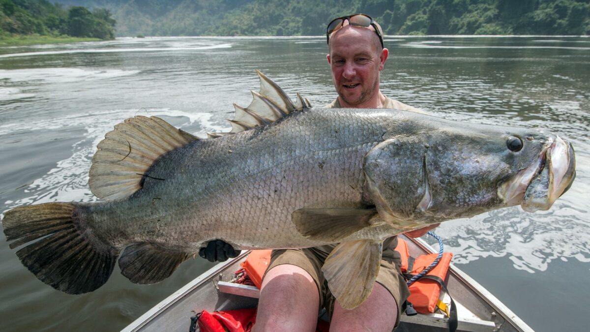 Fishing Trips in Murchison Falls National Park - Fishing Trips and Safaris in Uganda- Fishing for Nile Perch