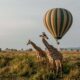Hot Air Balloon Tours in Uganda