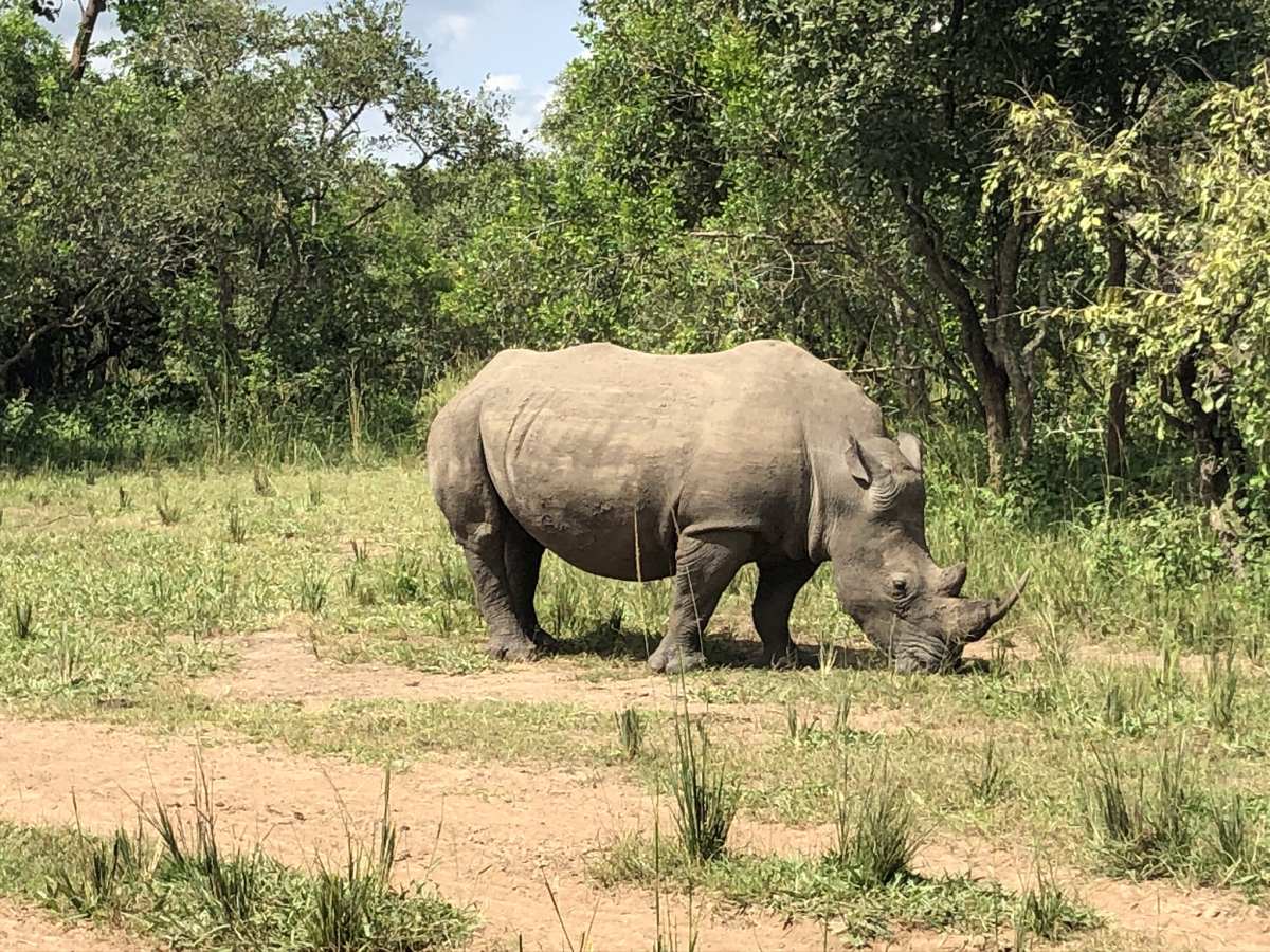 How to get to Ajai Wildlife Reserve