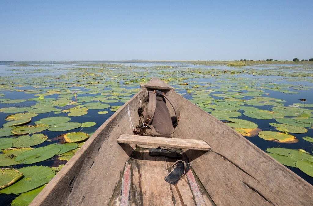 Lake Bisina Uganda