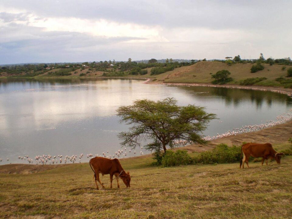 Lake Simbi National Park