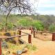 Mwingi Game Reserve