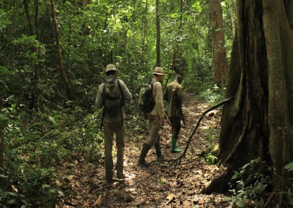 Nature Walks and Hiking in Semuliki National park