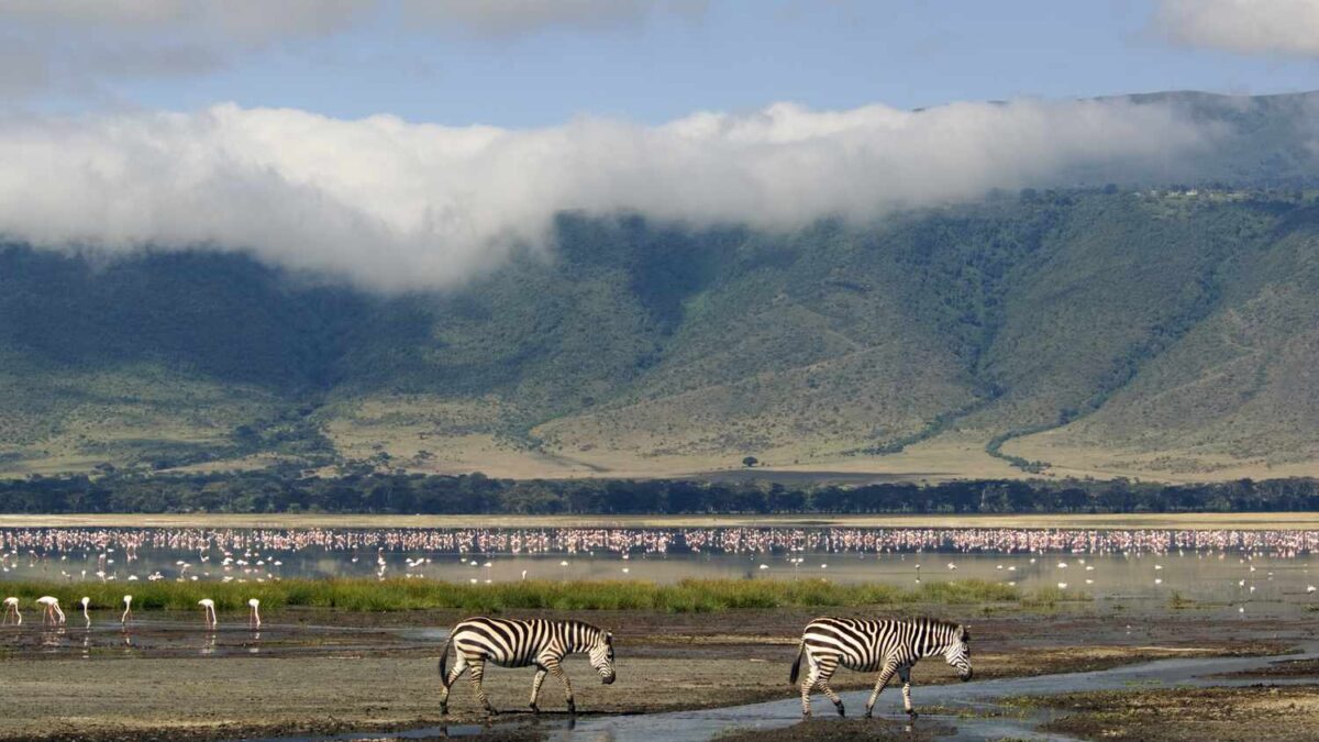 Ngorongoro Crater Safari Tours in Tanzania