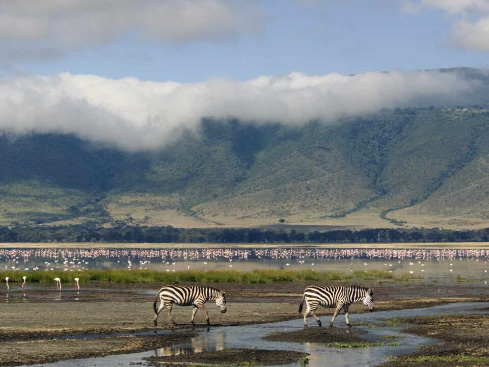 Ngorongoro Crater Safari Tours in Tanzania