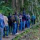 Primate Walks in Bigodi Wetland Sanctuary