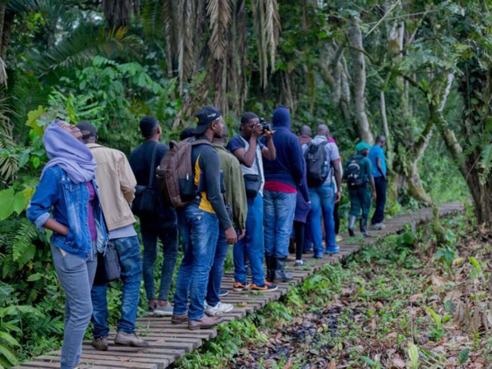 Primate Walks in Bigodi Wetland Sanctuary