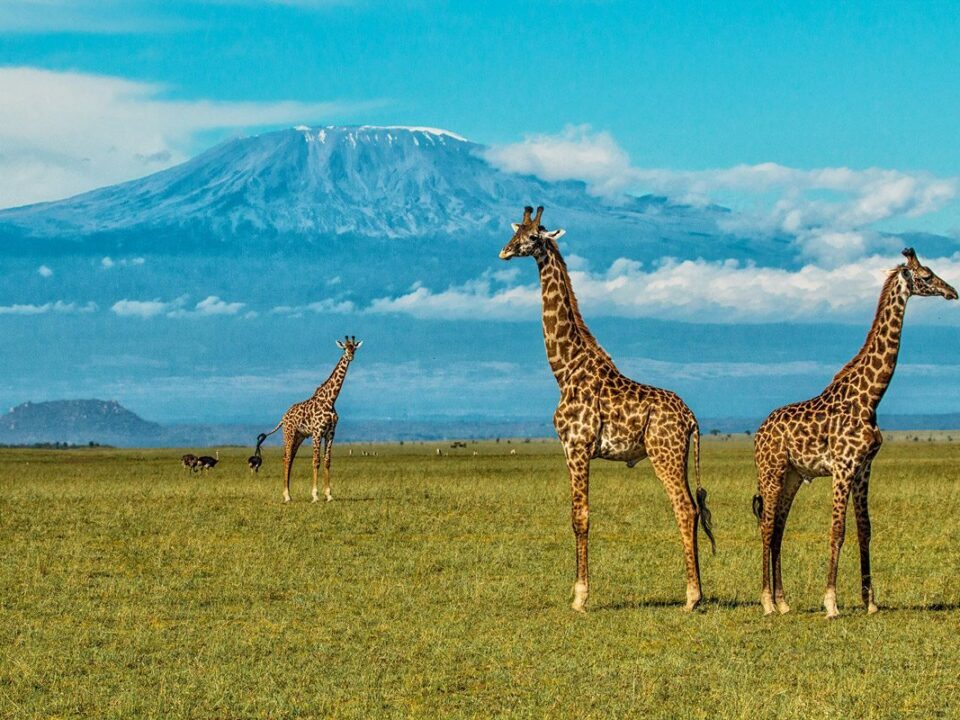 Safaris & tours to Chyulu Hills National Park