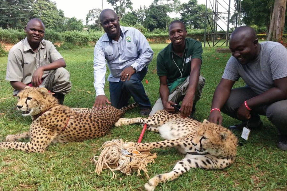 Animal Keeper Program for a day