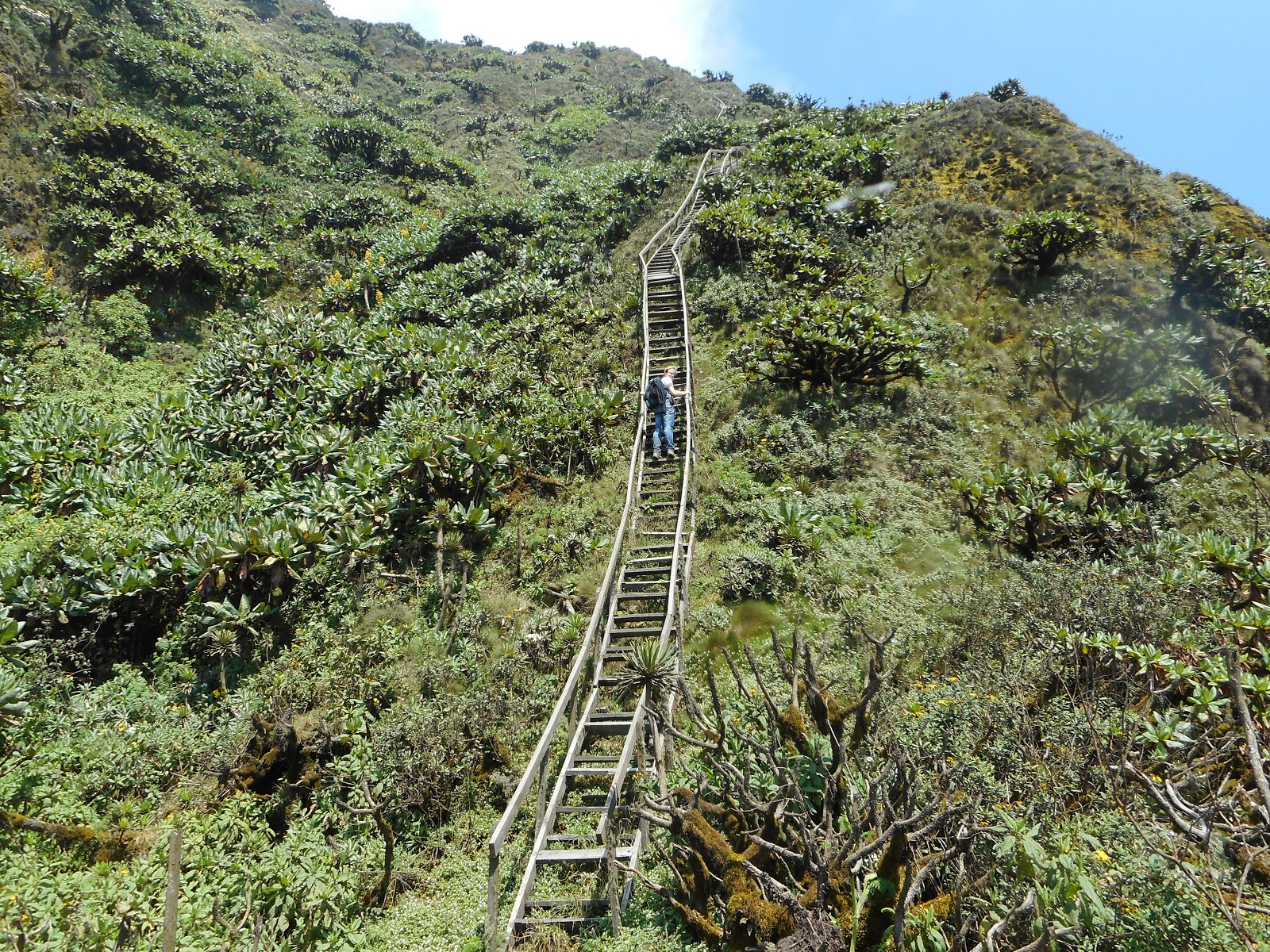 Mountain Hiking in Rwanda and Uganda - 4-Day Gorilla and Sabinyo Volcano Hike Safari