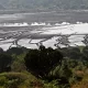 Lake Bunyampaka Flamingos and Salt Mining Tours