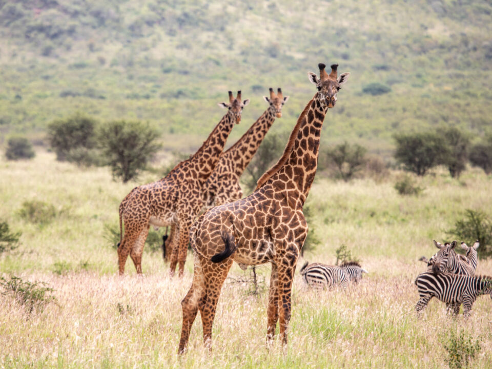 Tanzania Safari Tours to Ibanda Kyerwa National Park