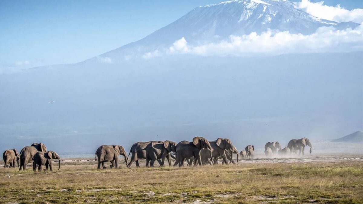 Mount Kenya National Park & Reserve