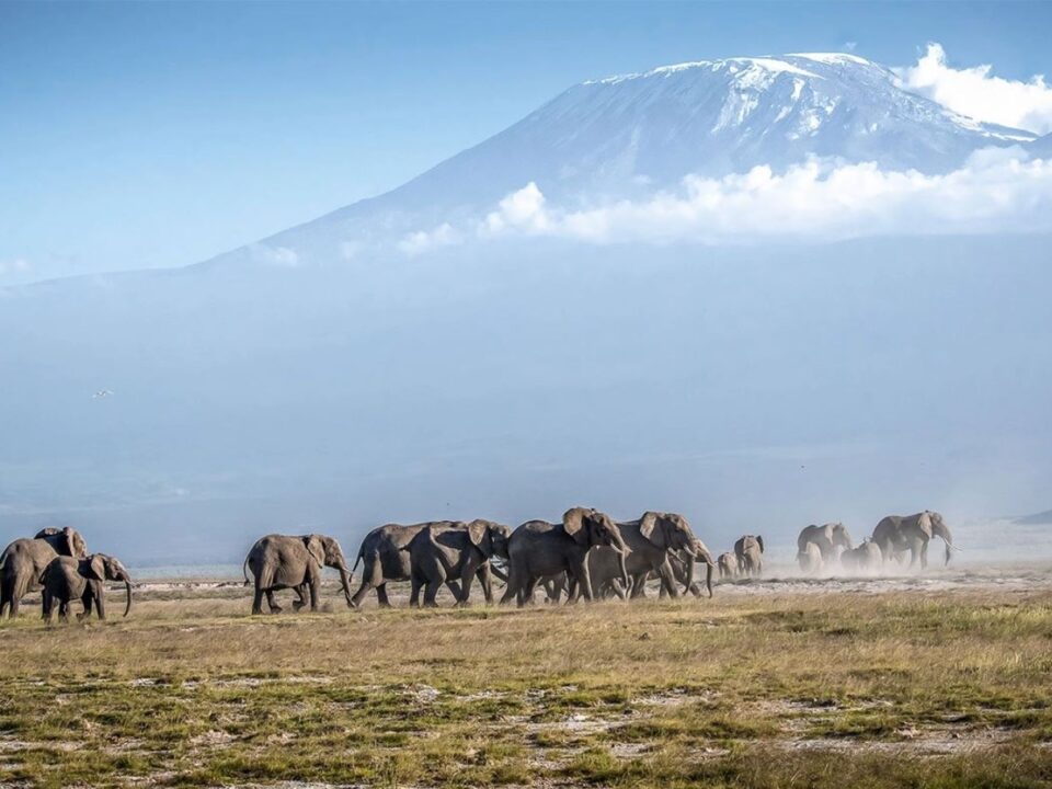 Mount Kenya National Park & Reserve