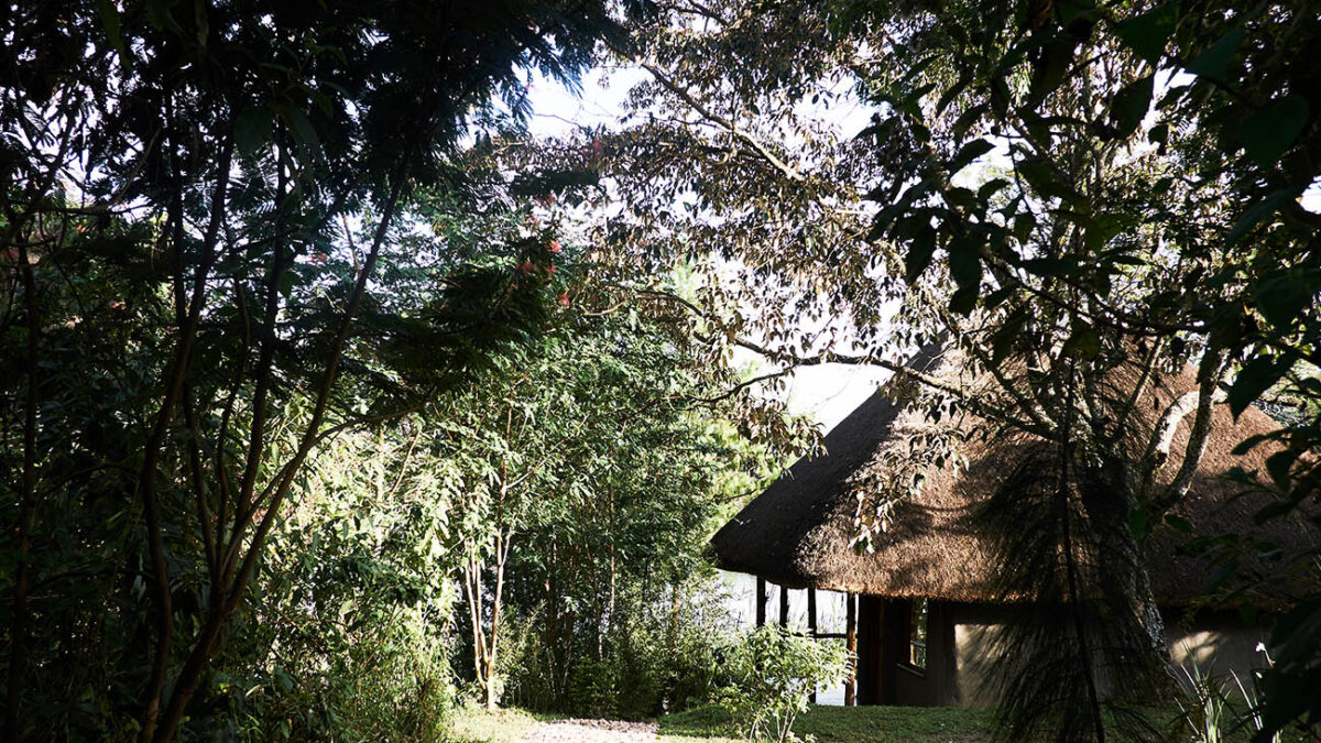 Sharp Island Gorilla Lodge on Lake Bunyonyi