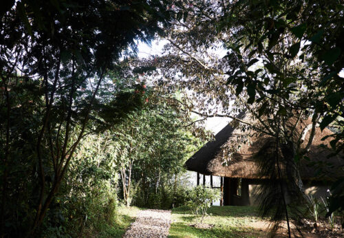 Sharp Island Gorilla Lodge on Lake Bunyonyi