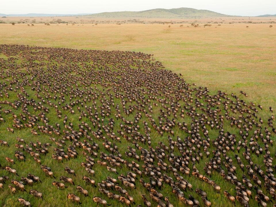 Hidden Valley Serengeti Tanzania
