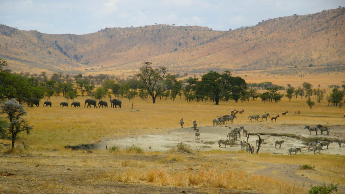 Lobo Valley Serengeti Tanzania