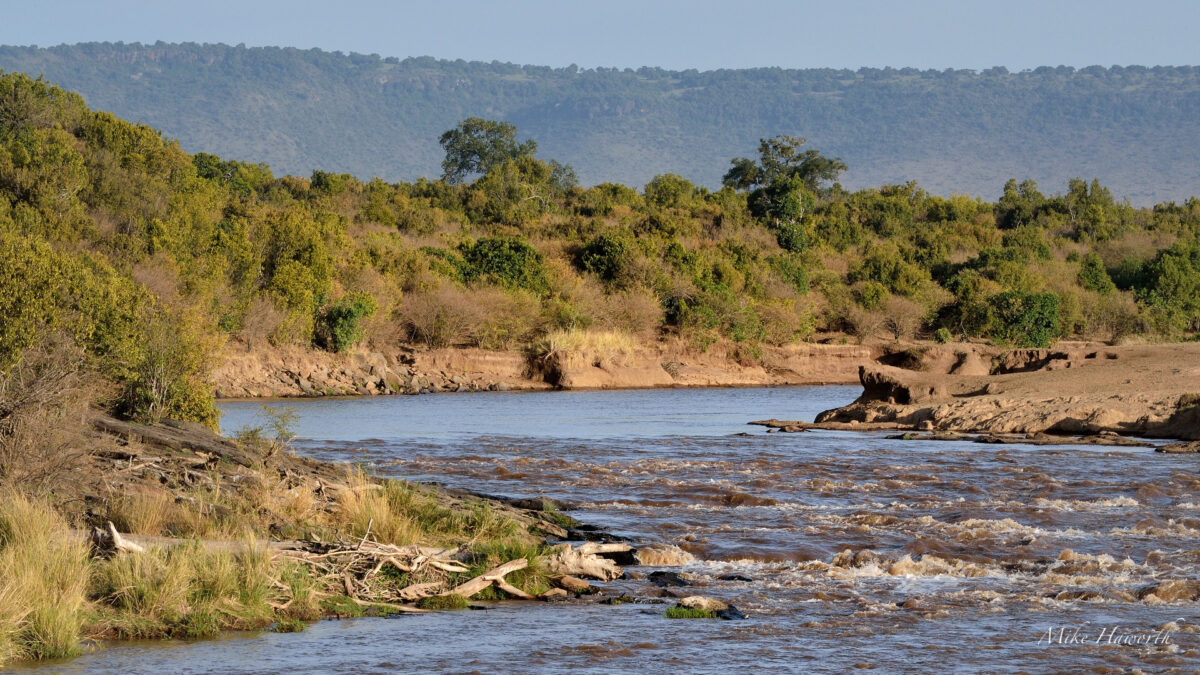 Mara River Kenya-Tanzania