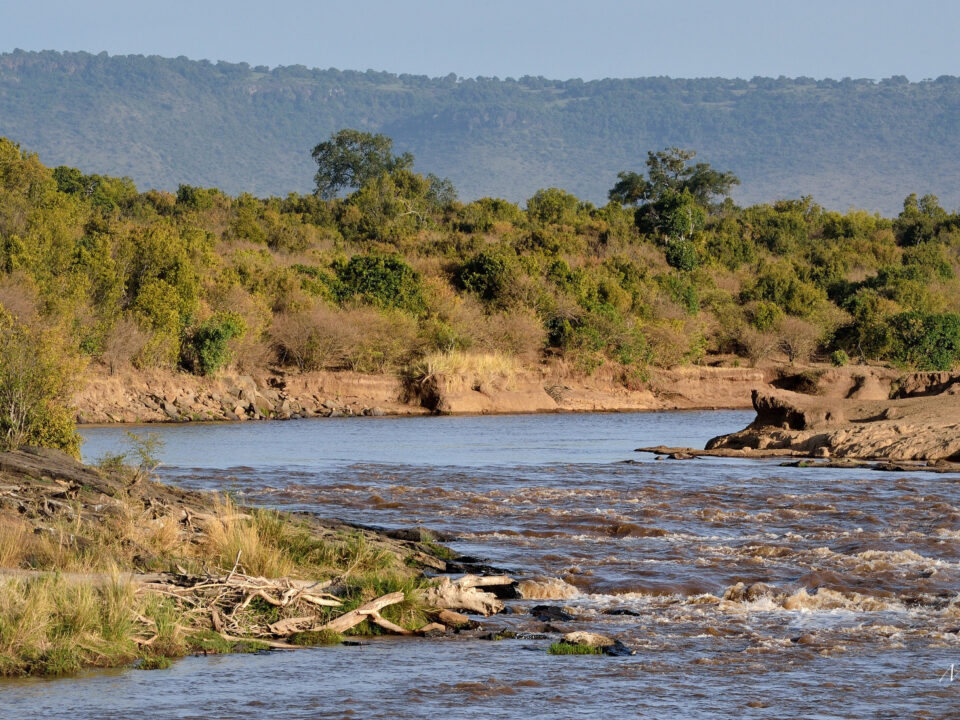 Mara River Kenya-Tanzania