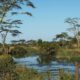 Seronera River Serengeti Tanzania