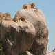 Simba Kopjes Serengeti Tanzania