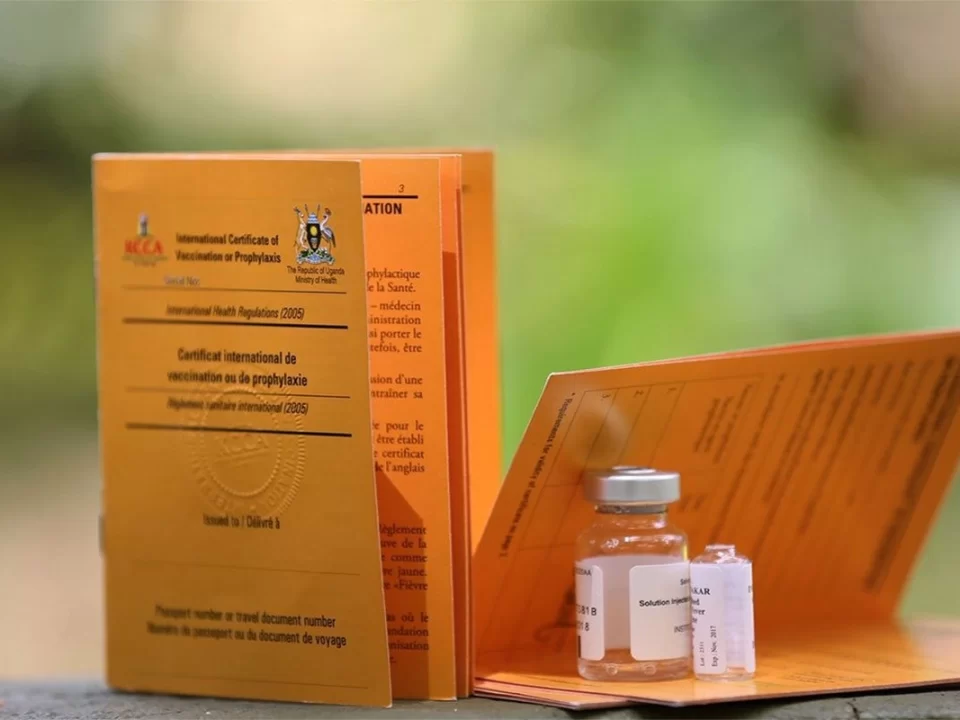 Yellow Fever Vaccination Requirements for African Safari