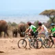 10 Days Rwanda & Uganda Gorilla-Cycling safari