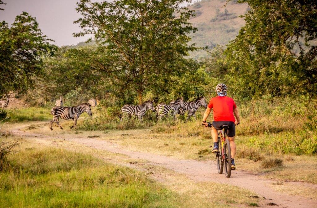 8 Days Uganda Cycling Tour and Wildlife Safari