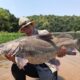 Fishing for Nile Perch on the Nile River - Fishing license for Nile Perch fishing on Lake Victoria - Nile Perch Fish