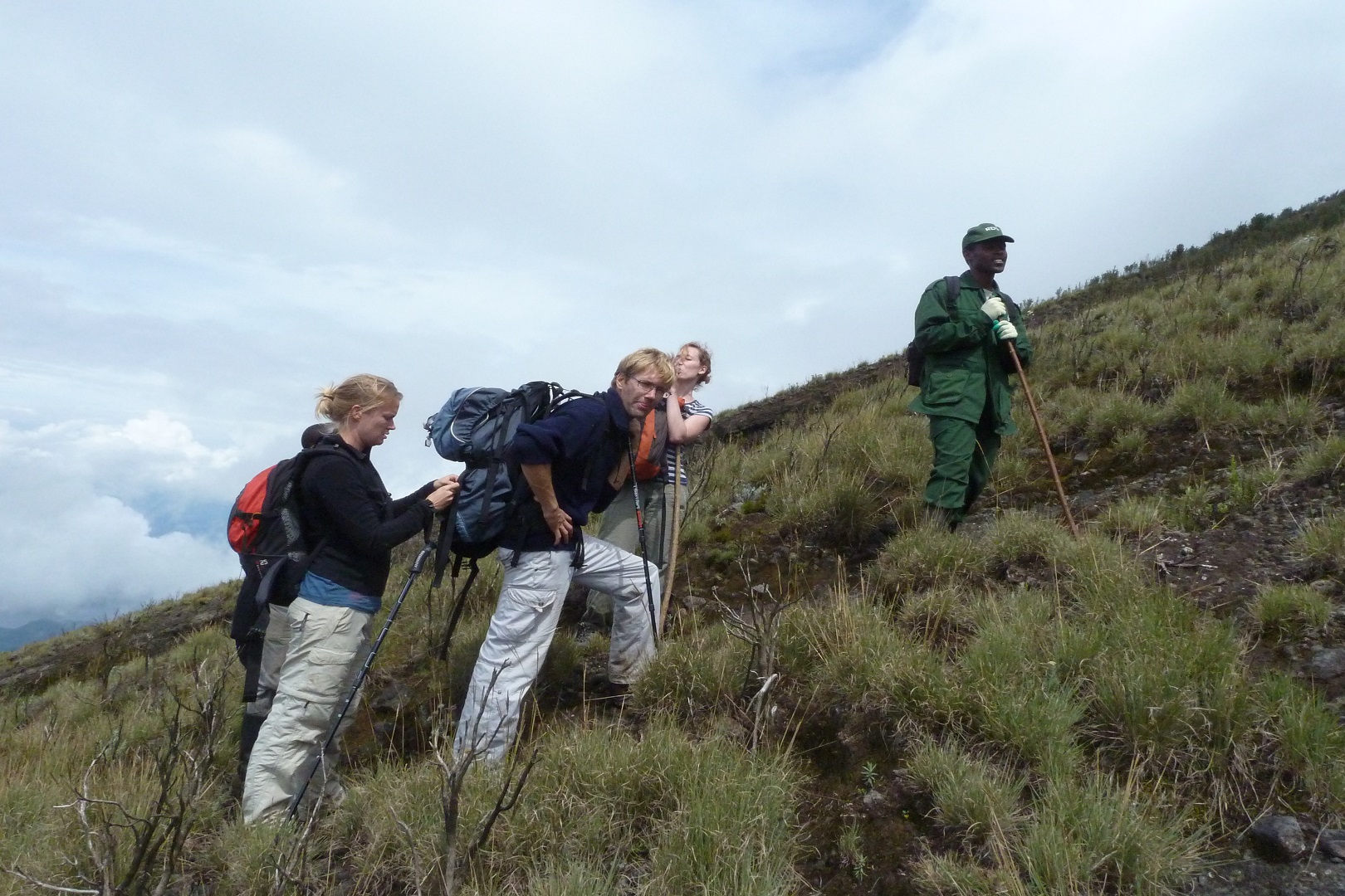 Gorilla tracking & Volcano hiking in Uganda