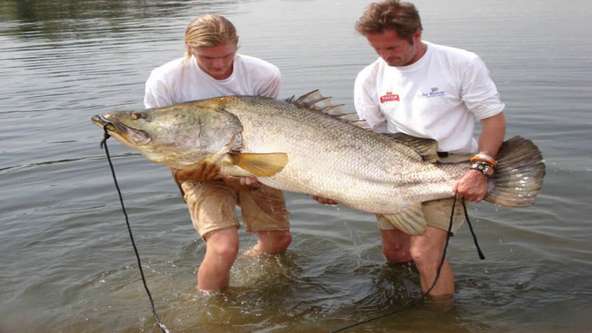 Luxury Fishing Safaris in Uganda - Fishing Permits for Nile Perch fishing in Murchison falls
