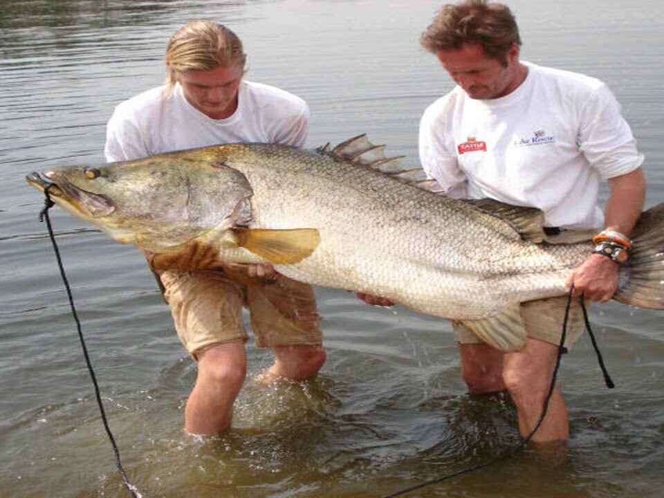 Luxury Fishing Safaris in Uganda - Fishing Permits for Nile Perch fishing in Murchison falls